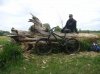 RIMG0250.jpg