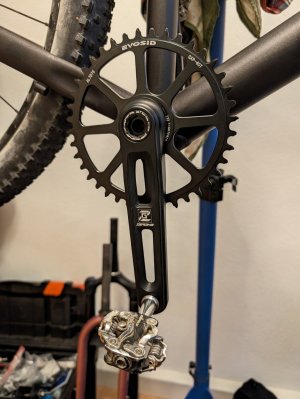 PXL_20240120_103958974.jpg