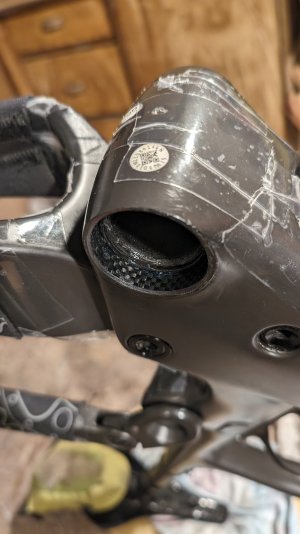 PXL_20240129_144654466.RAW-01.COVER.jpg