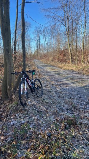 SZ Lichtenberge bei Traumwetter.jpg