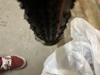 IMG_3882.jpeg