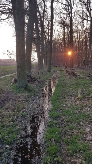 ordentliche Wasserpassage bei Thune, aber ohne nasse Füsse.jpg