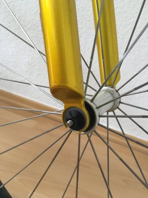 IMG_8440.jpeg IMG_8440.jpeg
