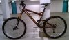IMAG0507_mit Fox Van RC_lowres.jpg