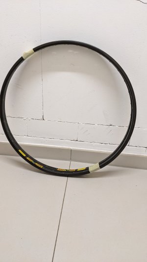 PXL_20240401_085926120.jpg