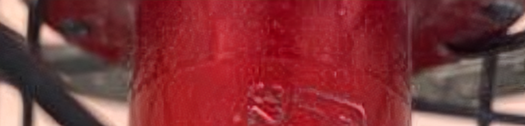 Screenshot_20240814-124220~3.png