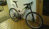 IMAG0349.jpg