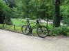 DSC01263.jpg