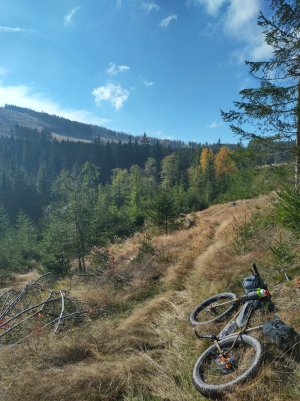 IMG_20241023_120821_HDR.jpg
