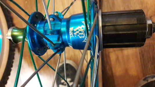 20231011_172412.jpg