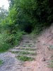 DSC00009.jpg