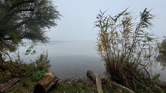 IMG_6781.JPEG