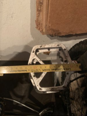IMG_8678.jpeg