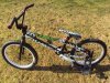 DSC01513.jpg