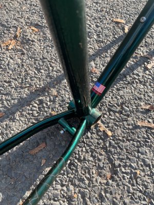 IMG_9534.jpeg
