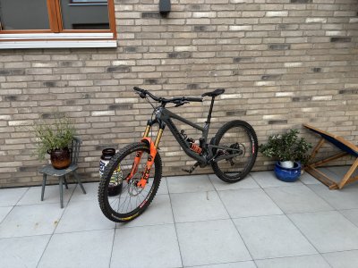 IMG_7924.jpeg