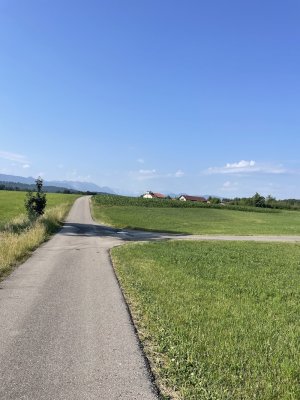 zielinsicht.JPG