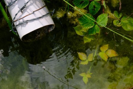 DSCF4752.JPG