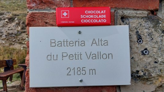 20250916_132946.jpg