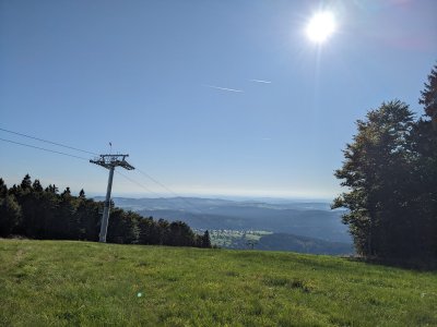 PXL_20250920_142241435.jpg