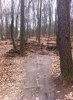 1619076_653303598066916_1032738464_n.jpg