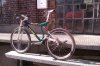 IMAG0522.jpg
