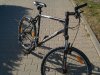 comp_Bulls King Cobra XTR (2).jpg