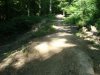 DSC07213.JPG