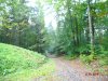 DSCF1795.JPG