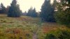 WP_20141003_003.jpg