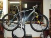 hardtail vollansicht klein.jpg