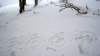 DSC08475.JPG