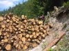 holzvallep2.jpg