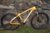 DSC02564 - Kopie.JPG