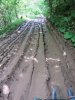 20150613110948.jpg