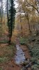20151101_110117.jpg