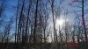 IMG_20160110_113414.jpg