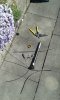 20160505_125909.jpg