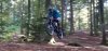 Screenshot_20160925-165809.jpg