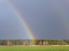 regenbogen_1400.jpg