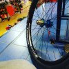 IMG_20170304_125426_097.jpg