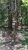IMG_20170526_1312100.jpg