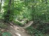 20170827_142820.jpg