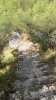 929 (2) (360x640).jpg