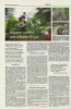 Wetterauer Zeitung.png