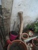 DSCF2659.JPG