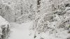20171210_135148.jpg