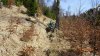 IMG-20180415-WA0011.jpg
