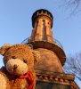 aussichtsturm_bfrw.jpg