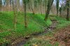 Waldbach b800.jpg